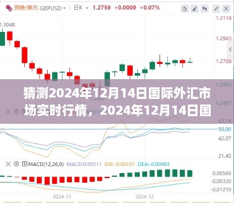 2024年12月17日 第15页