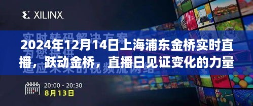 跃动金桥见证变化力量，上海浦东金桥直播日励志篇章（实时直播回顾）