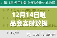 独家揭秘，12月14日唯品会实时数据深度解析