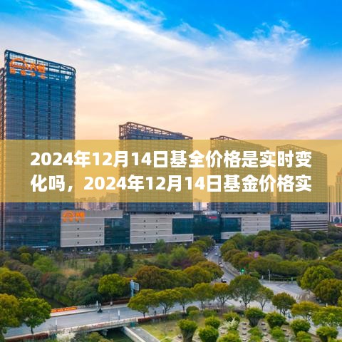 2024年12月14日基金价格实时变化解析