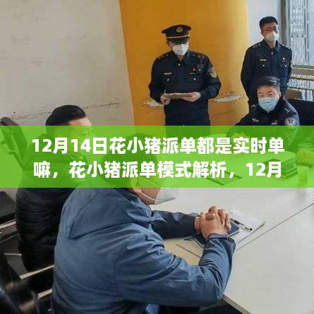 花小猪派单模式解析，12月14日派单是否以实时单为主？