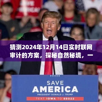 2024年联网审计与心灵探秘的双重盛宴，实时审计方案揭秘自然秘境奇妙征程