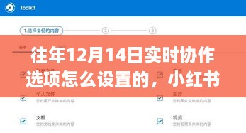 小红书分享，往年12月14日实时协作选项的最佳设置攻略揭秘！