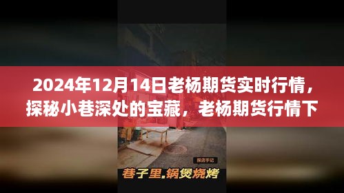 老杨期货实时行情解析，探秘特色小吃之旅与小巷宝藏的关联故事（日期标注）