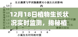 揭秘植物生长奥秘，实时观察之旅，探寻植物成长状况的秘密（12月18日）