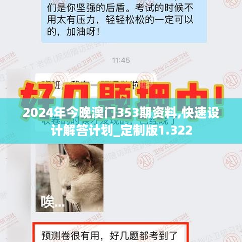 2024年今晚澳门353期资料,快速设计解答计划_定制版1.322