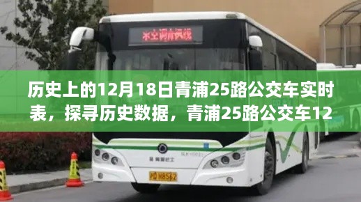 探寻历史数据，青浦25路公交车12月18日实时表查询指南（初学者与进阶用户适用）