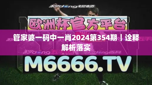 管家婆一码中一肖2024第354期｜诠释解析落实