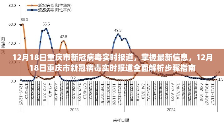 重庆市新冠病毒实时报道，最新信息解析与步骤指南（12月18日）