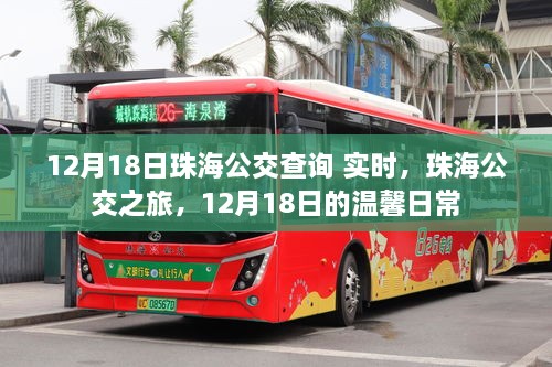 12月18日珠海公交实时查询，温馨公交之旅的每日日常