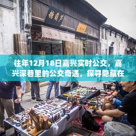 探寻嘉兴深巷公交奇遇，隐藏在小巷中的特色小店，历年12月18日嘉兴实时公交盘点