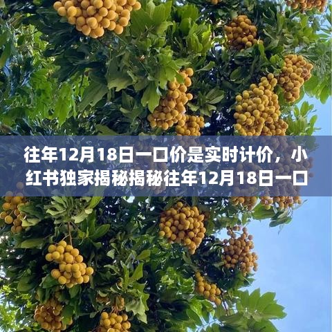 小红书独家揭秘，往年12月18日一口价背后的实时计价秘密揭秘