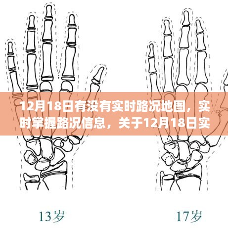 12月18日实时路况地图全面评测与介绍，掌握路况信息的必备工具