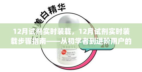 从新手到进阶，12月试剂实时装载步骤指南与教程