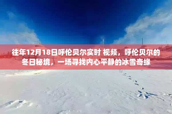 呼伦贝尔冬日秘境，冰雪奇缘的实时探索之旅