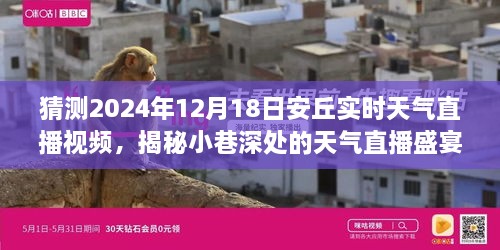 揭秘安丘小巷深处的天气直播盛宴，2024年12月18日实时天气直播视频与特色小店之旅