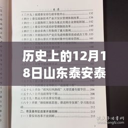 山东泰安泰西高速路况直播回顾，历史中的12月18日探秘之旅