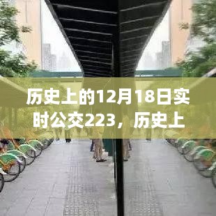 公交223背后的励志故事，见证变化的力量与自信的诞生在历史的12月18日