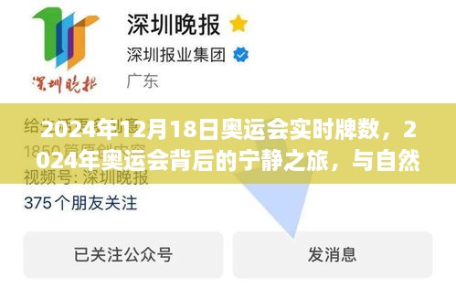 心灵之旅，探寻自然美景背后的宁静与奥运精神——2024年奥运会实时牌数报道