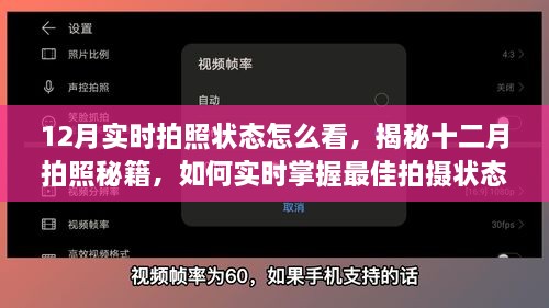 揭秘十二月拍照秘籍，如何实时掌握最佳拍摄状态与查看实时拍照状态？