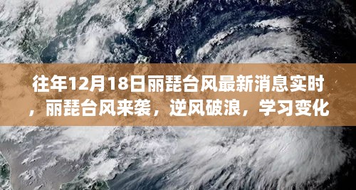 丽琵台风来袭，逆风破浪，扬帆起航的自信与成就感实时更新