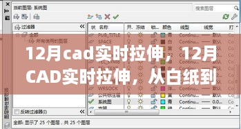 12月CAD实时拉伸，从白纸到大师的蜕变，激发无限潜能之旅