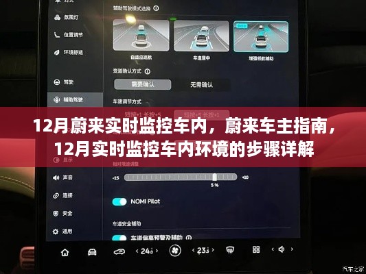 蔚来车主指南，12月实时监控车内环境详解与步骤指南