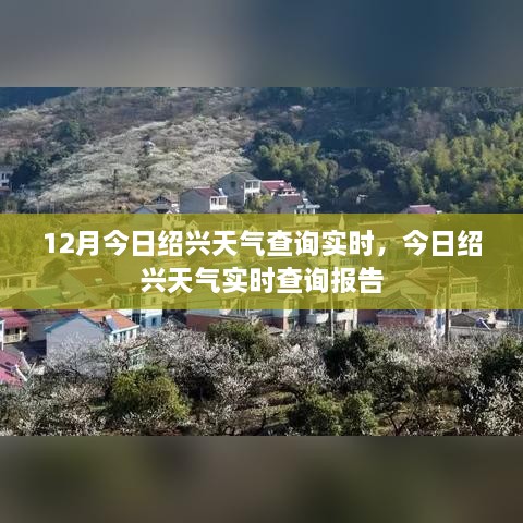 绍兴实时天气查询报告，今日天气状况详解