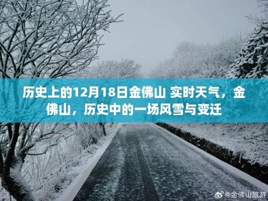 金佛山历史风雪变迁，风雪中的历史印记与实时天气观察