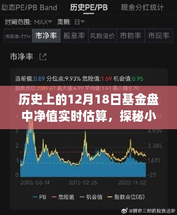 揭秘历史基金盘中净值实时估算，探寻历史尘埃中的特色小店与秘密宝藏的历程