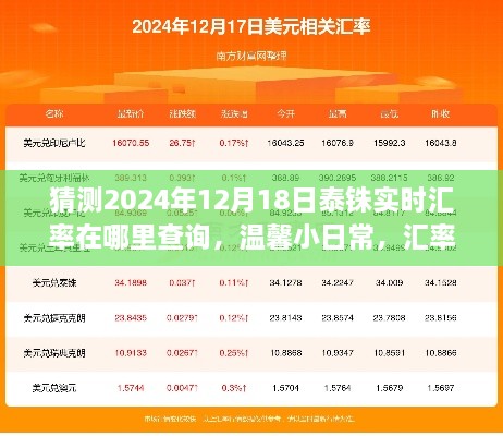 2024年12月18日泰铢汇率预测与查询，旅途中的意外惊喜