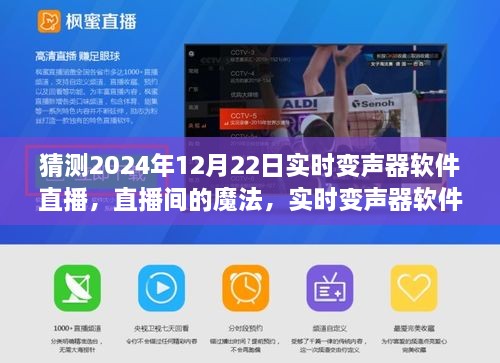 2024年实时变声器软件直播魔法，探寻奇妙日常与直播间的秘密