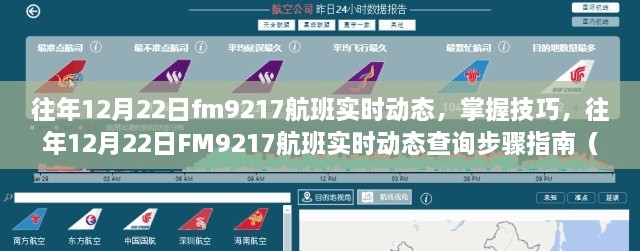 往年12月22日FM9217航班实时动态查询指南，初学者与进阶用户适用技巧全解析