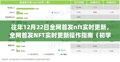 全网首发NFT实时更新操作指南，从初学者到进阶用户的实用指南