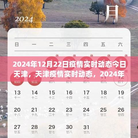 2024年12月22日天津疫情实时动态更新，今日最新观察