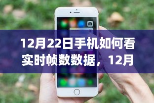 揭秘，如何轻松在手机上查看实时帧数数据（12月22日指南）