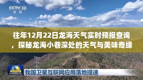 探秘龙海小巷深处的天气与美食奇缘，12月22日龙海天气实时预报深度解析