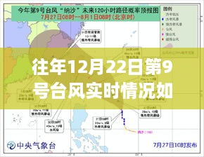 台风下的暖心故事，第9号台风实时情况及避风港友情的陪伴