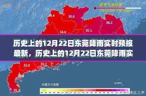 历史上的12月22日东莞降雨实时预报详解，如何获取最新天气信息