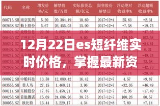 12月22日ES短纤维实时价格指南，最新资讯与查询解析步骤