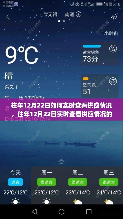 往年12月22日实时查看供应情况策略探讨，有效监控与应对策略分析