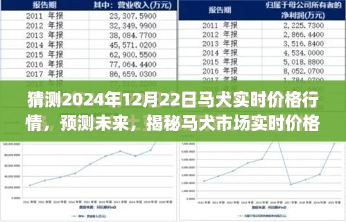 揭秘未来马犬市场实时价格行情，预测分析至2024年12月22日的价格走势揭秘！