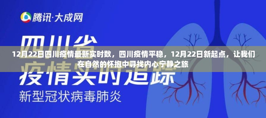 四川疫情平稳，自然怀抱中的内心宁静之旅（最新实时数据）