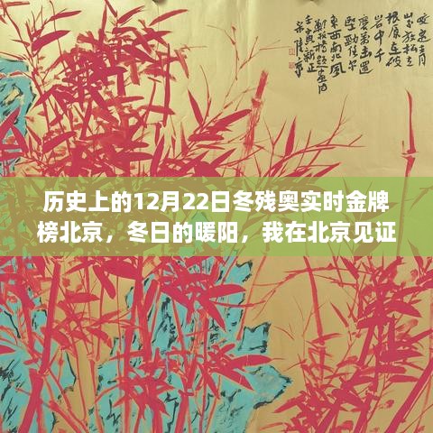 北京冬残奥历史上的金牌时刻，实时金牌榜见证荣耀瞬间