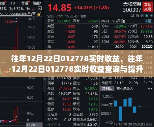 往年12月22日012778实时收益详解，查询指南与提升策略，初学者到进阶用户的必备手册