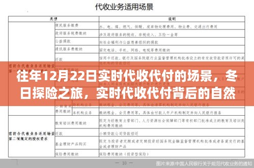 冬日探险之旅，实时代收代付背后的自然美景探索与心灵宁静之旅