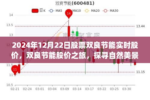 双良节能股价之旅，探寻自然美景与股市动态的交汇点，重拾心灵宁静的旅程（实时股价更新）