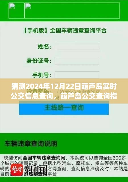 2024年葫芦岛公交查询指南，实时公交信息查询方法与指南