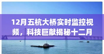 科技赋能，揭秘十二月五杭大桥实时监控视频系统，重塑生活感知新篇章！