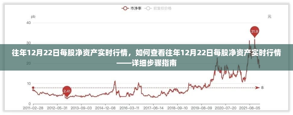 如何查看往年12月22日每股净资产实时行情，详细步骤与行情分析